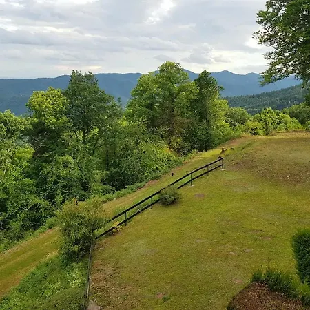 アパート Le Belvedere テュルクアイム