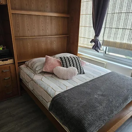 Apartment Le Belvedere Turckheim