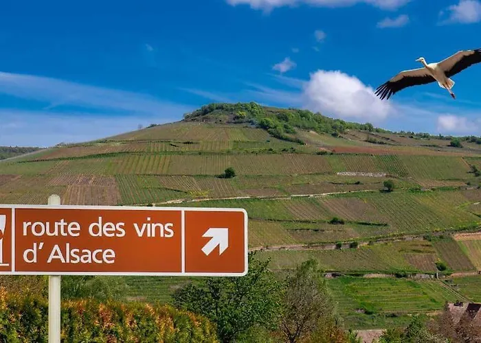 Le Belvédère *